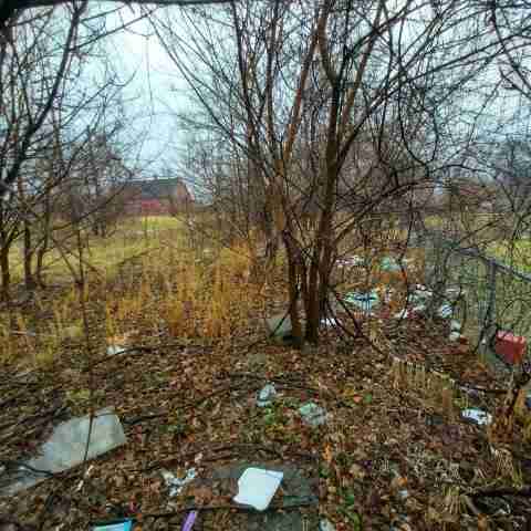 8031 conger (64).jpg